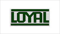 Loyal Textiles Mills Limited 
